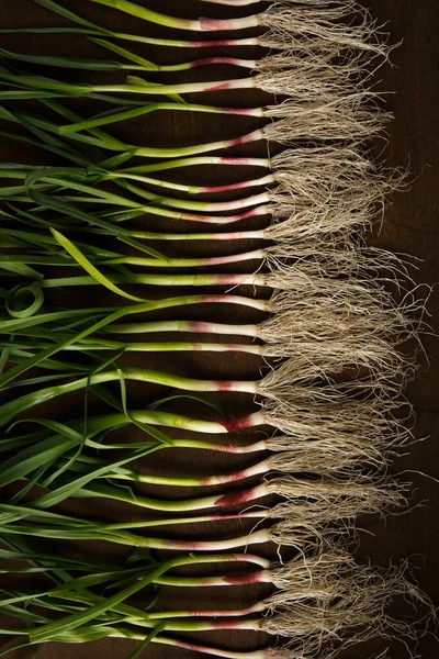Koyu arkaplanda yeşil sarımsak yaprakları.