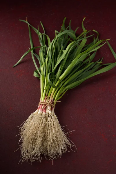 Bunch Young Green Garlic Leaves Dark Background — Zdjęcie stockowe