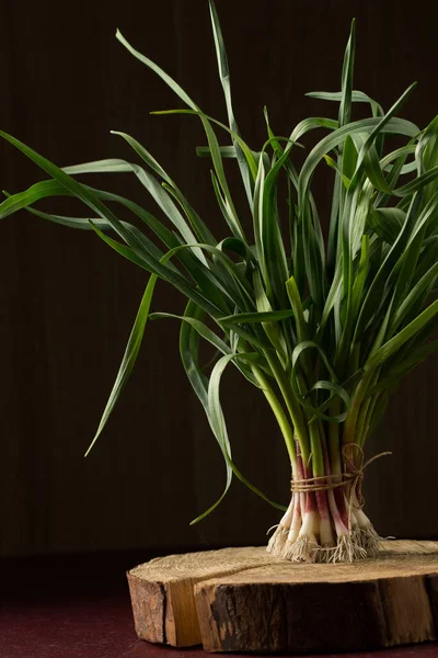 Bunch Young Green Garlic Leaves Dark Background —  Fotos de Stock