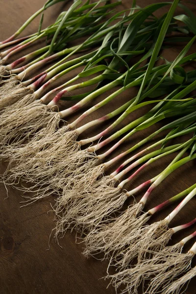 Koyu arkaplanda yeşil sarımsak yaprakları.