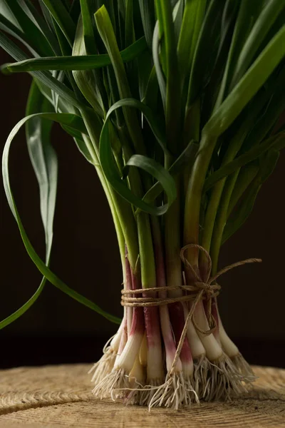 Bunch Young Green Garlic Leaves Dark Background — Foto Stock