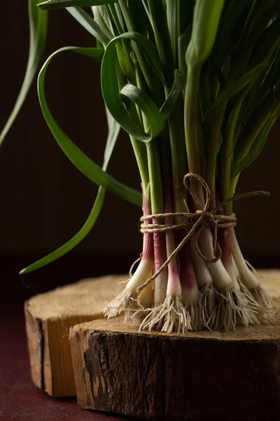 Koyu arkaplanda yeşil sarımsak yaprakları.