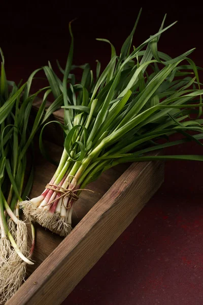 Koyu arkaplanda yeşil sarımsak yaprakları.