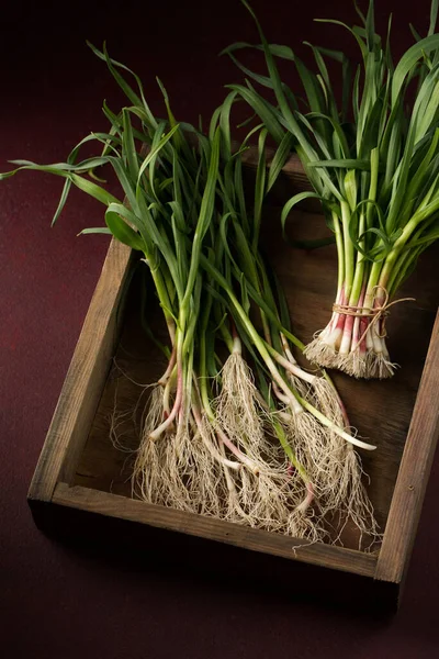 Bunch Young Green Garlic Leaves Dark Background — Foto Stock