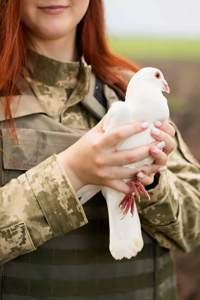 Beautiful Ukrainian Young Woman Bulletproof Vest White Dove Her Hands — Stock Photo, Image