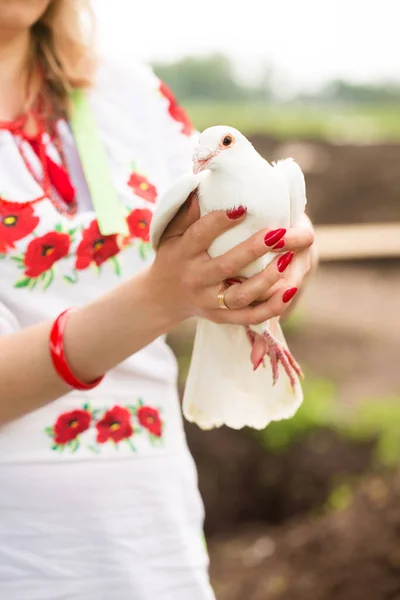 Beautiful Ukrainian Woman Ukrainian National Embroidered Dress White Dove Her — Foto de Stock