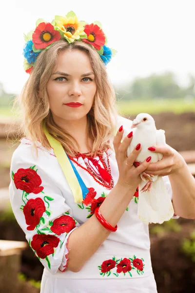 Beautiful Ukrainian Woman Ukrainian National Embroidered Dress White Dove Her — Zdjęcie stockowe