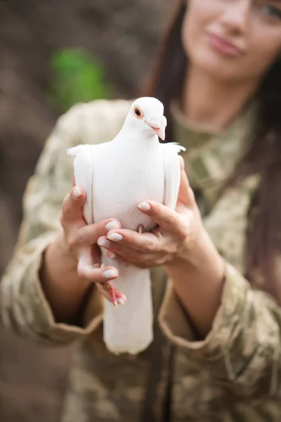 Beautiful Ukrainian Young Woman Camouflage White Dove Her Hands Symbol —  Fotos de Stock