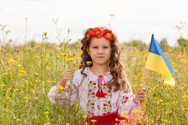 Little Girl Ukrainian Folk Costume Field Ukrainian Flag Her Hands — Stok fotoğraf