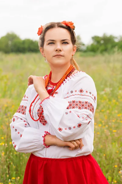 Portrait Ukrainian Woman National Folk Costume Field — стоковое фото