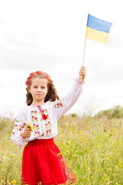 Little Girl Ukrainian Folk Costume Field Ukrainian Flag Her Hands — Fotografia de Stock