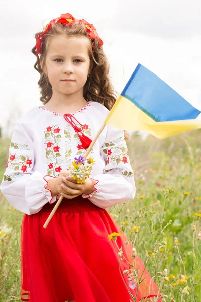 Little Girl Ukrainian Folk Costume Field Ukrainian Flag Her Hands — стокове фото