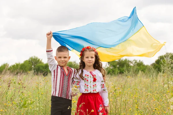 Little Boy Girl National Ukrainian Clothes Blue Yellow Flag Field — Stock Photo, Image