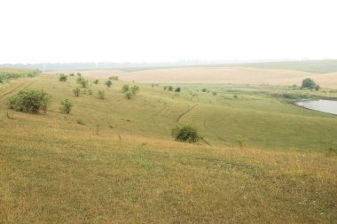 Hilly foggy pasture on the shore of the lake