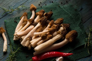 Morel forest mushrooms with spicy spices and aromatic vegetables