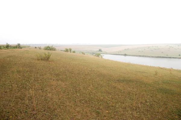 Hilly Foggy Pasture Shore Lake — Zdjęcie stockowe