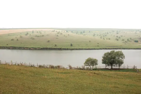 Hilly Foggy Pasture Shore Lake —  Fotos de Stock