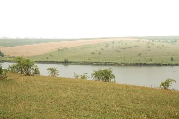 Hilly Foggy Pasture Shore Lake — 图库照片