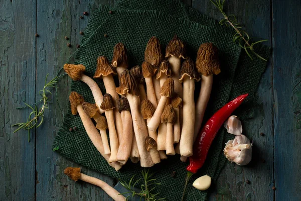 Morel Forest Mushrooms Spicy Spices Aromatic Vegetables — Stockfoto