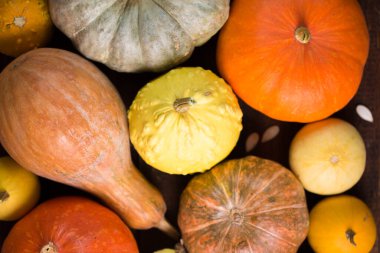 Tahta arka planda farklı türde küçük olgun balkabakları.