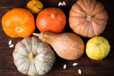 Tahta arka planda farklı türde küçük olgun balkabakları.