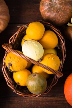 Tahta arka planda farklı türde küçük olgun balkabakları.