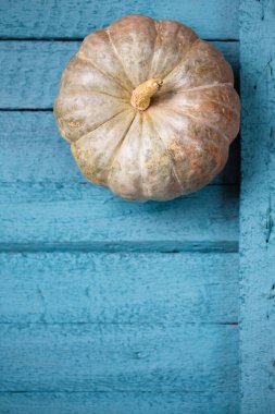 Tahta arka planda farklı türde küçük olgun balkabağı.