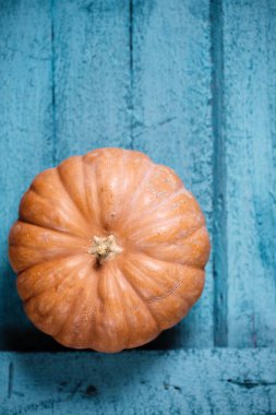 Tahta arka planda farklı türde küçük olgun balkabağı.