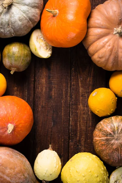 Piccole Zucche Mature Diverse Varietà Uno Sfondo Legno — Foto Stock