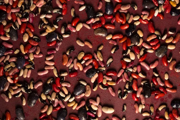 Colorful Organic Beans Burgundy Background — Stock Photo, Image