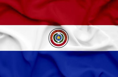 Paraguay dalgalanan bayrak