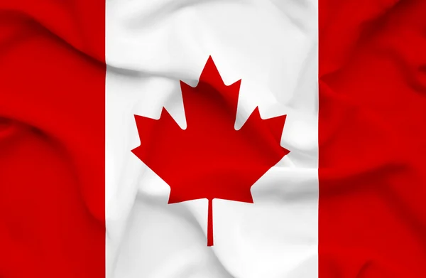 Канада розмахував прапором — стокове фото
