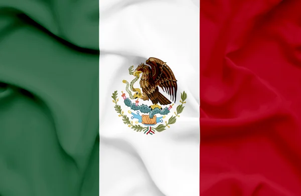 Mexico som vifter med flagg – stockfoto