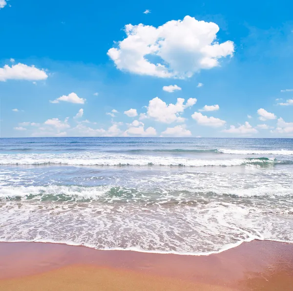 Тропический пляж и море — стоковое фото