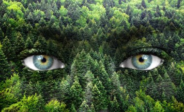 Green forest and human eyes - Save nature concept clipart