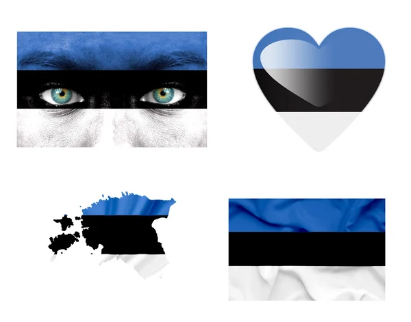 Set de varias banderas de Estonia — Foto de Stock