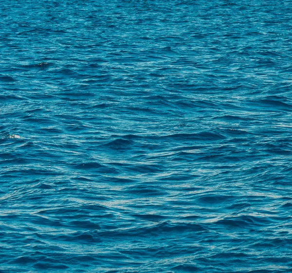 Fundo do mar azul — Fotografia de Stock