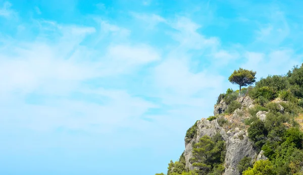 Mavi gökyüzü kayalık uçurum orman — Stok fotoğraf