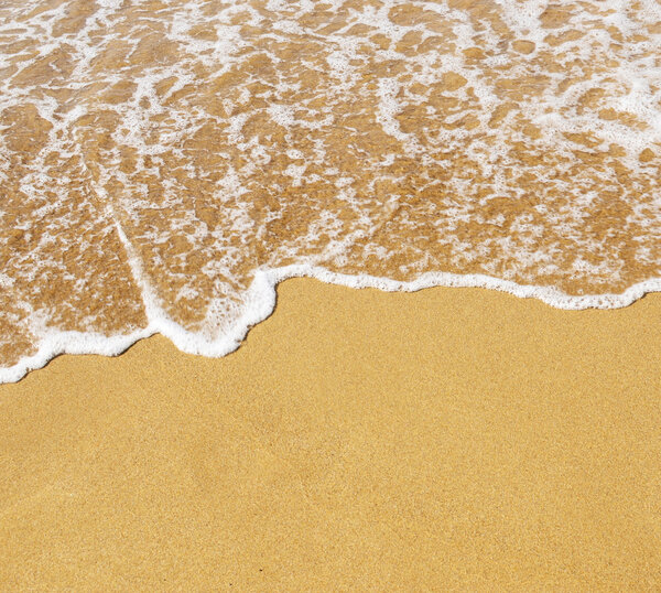 Песчаный пляж и волна
