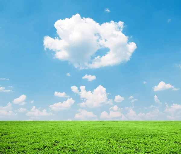 Prachtige groene veld en blauwe hemel - natuurlijke landschapsmening — Stockfoto