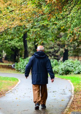 Komuta sizde ormanda yürüyüş