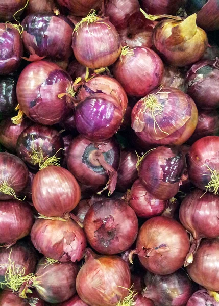 Cebollas rojas frescas — Foto de Stock