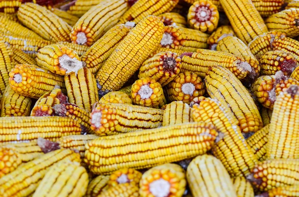 Kukuřice uložené pro zimní pozadí — Stock fotografie