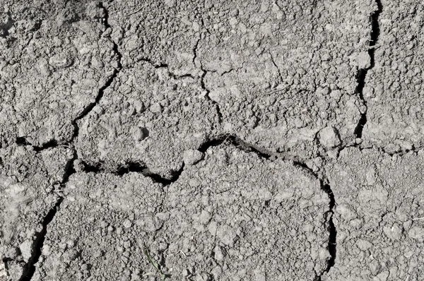 Tekstur tanah kering yang retak — Stok Foto