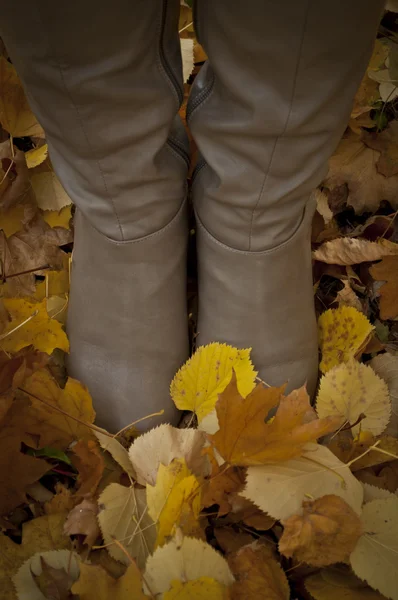 Bottes de femme debout sur les feuilles d'automne - concept de marche — Photo