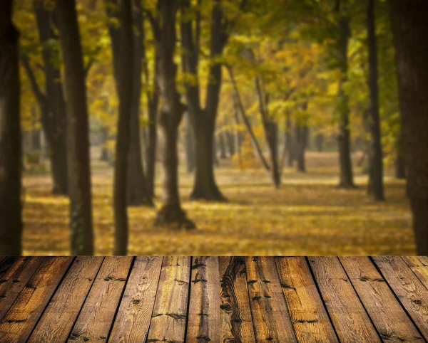 Floresta de outono e piso de madeira — Fotografia de Stock