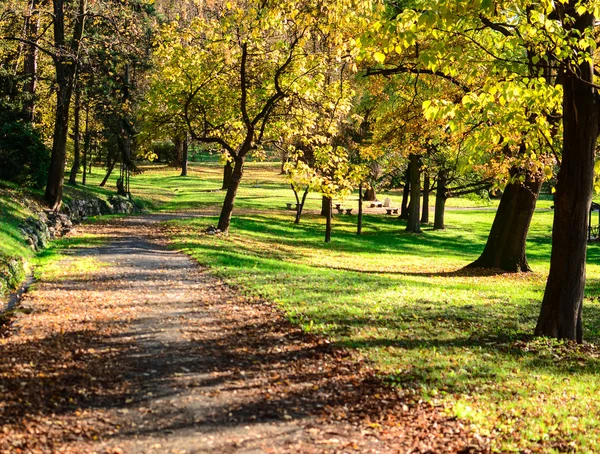 Park im Herbstwald — Stockfoto