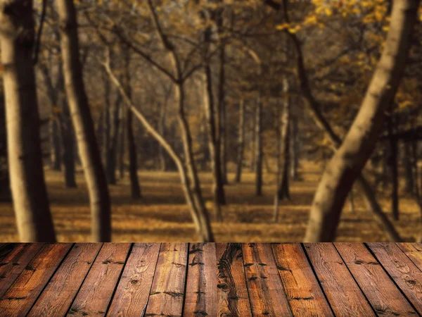 Krásné podzimní les a dřevo podlahy pozadí — Stock fotografie