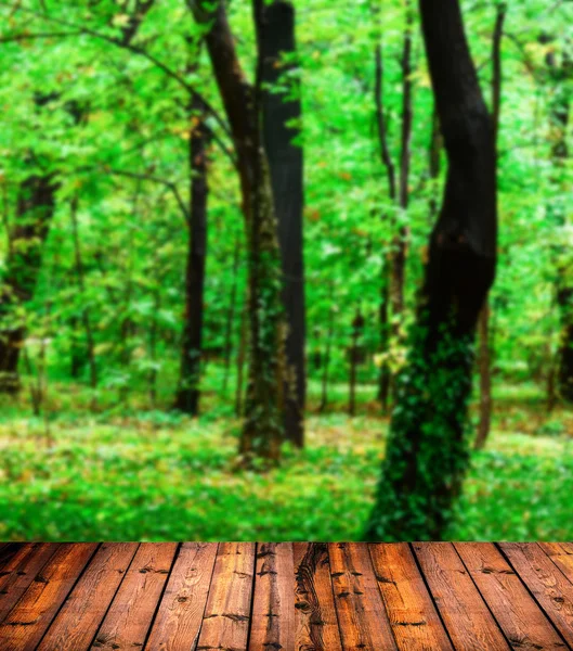 美しい森と木の床の背景 — ストック写真