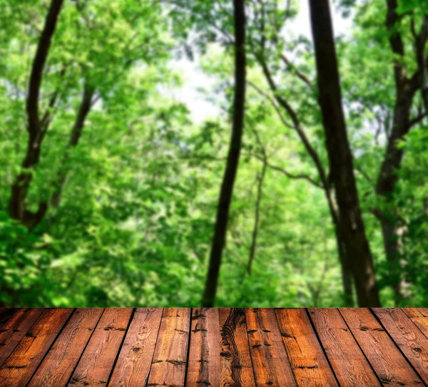 Зеленый лес с деревянными досками — стоковое фото